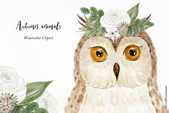 Autumn animals. Watercolor clipart in Illustrations - product preview 4