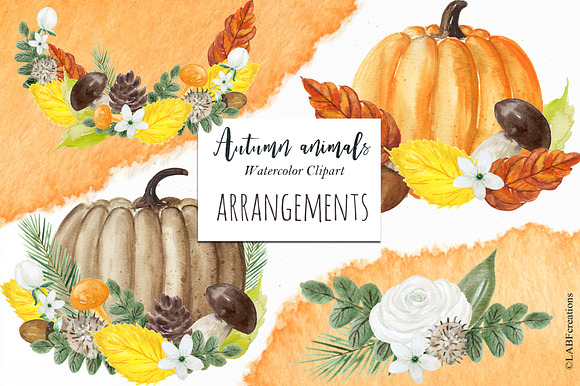 Autumn animals. Watercolor clipart in Illustrations - product preview 8