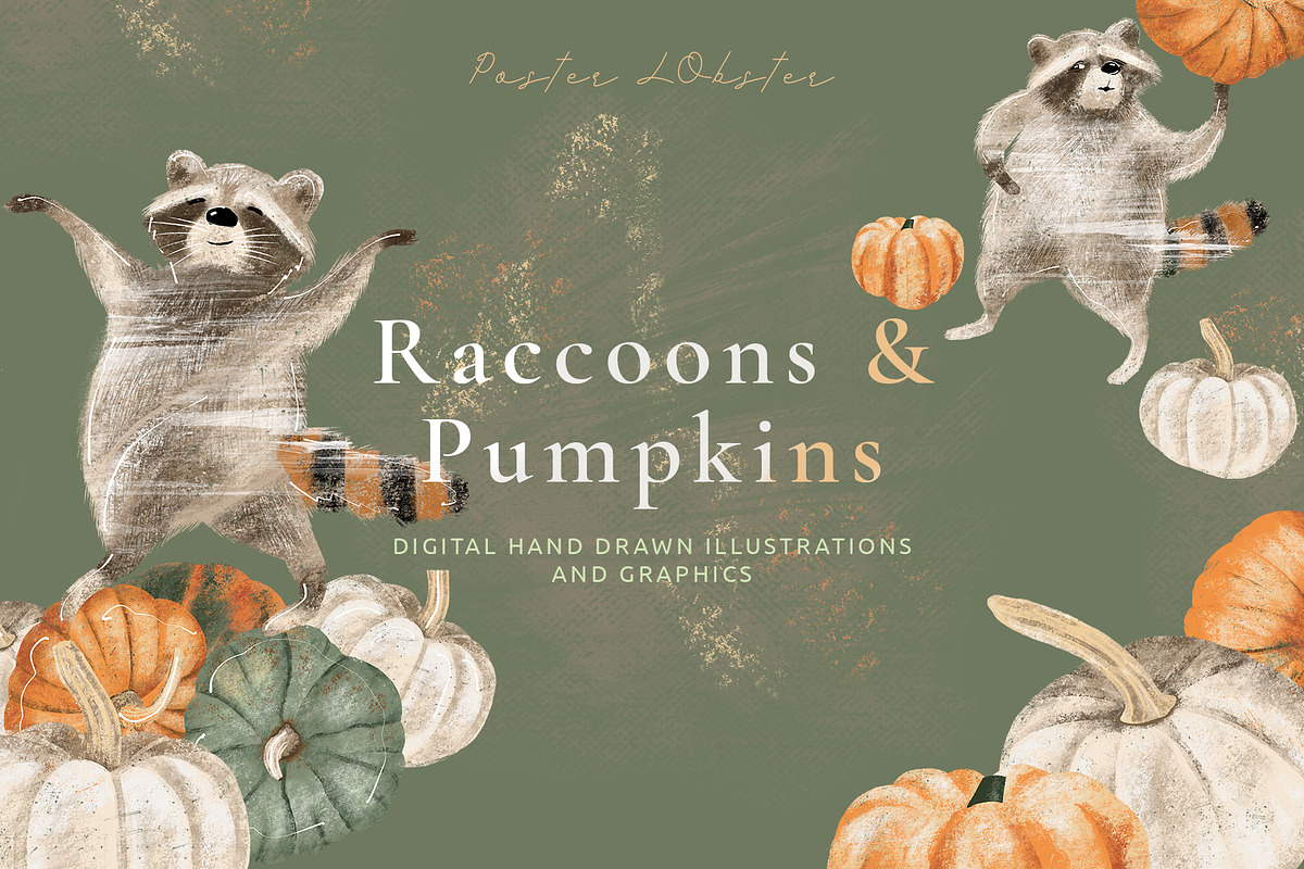 Pumpkins & Raccoons Graphic set in Illustrations - product preview 8