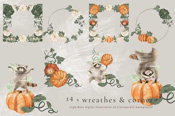 Pumpkins & Raccoons Graphic set in Illustrations - product preview 1