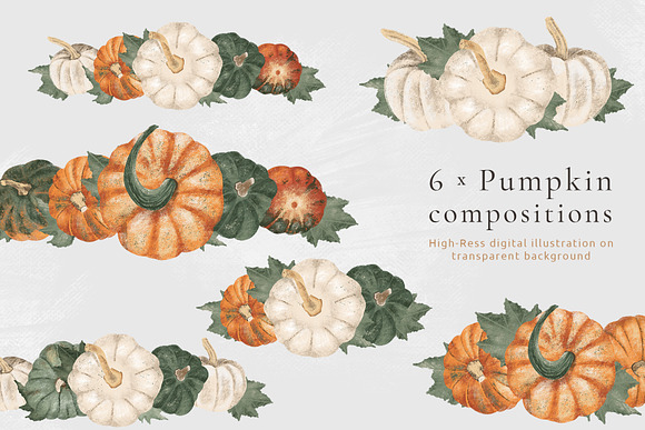 Pumpkins & Raccoons Graphic set in Illustrations - product preview 2