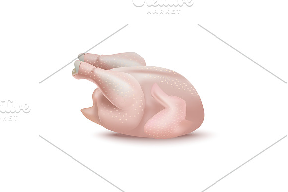 Realistic Fresh Chicken Parts Set. in Objects - product preview 3