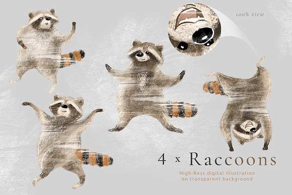 Pumpkins & Raccoons Graphic set in Illustrations - product preview 5