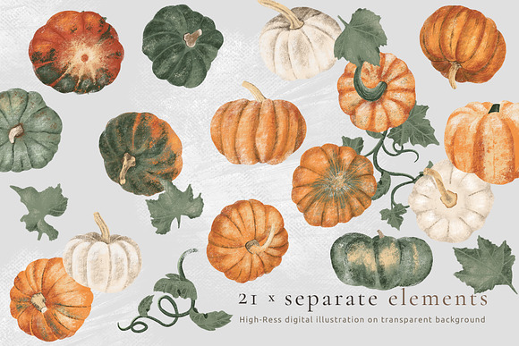 Pumpkins & Raccoons Graphic set in Illustrations - product preview 7