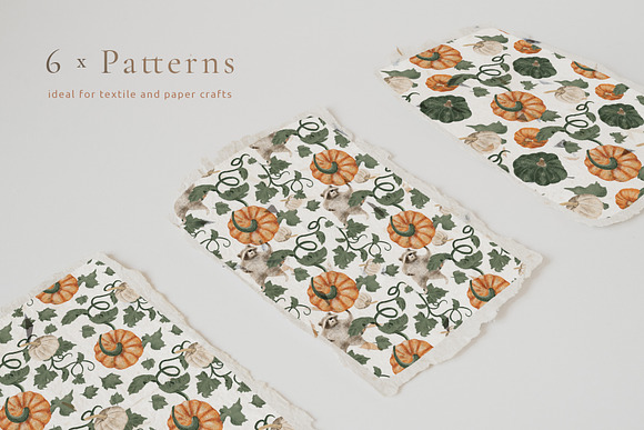 Pumpkins & Raccoons Graphic set in Illustrations - product preview 9