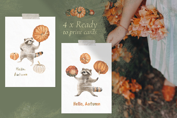 Pumpkins & Raccoons Graphic set in Illustrations - product preview 11
