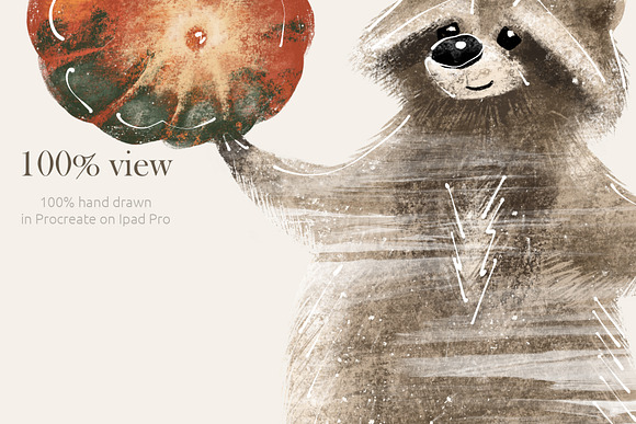 Pumpkins & Raccoons Graphic set in Illustrations - product preview 12