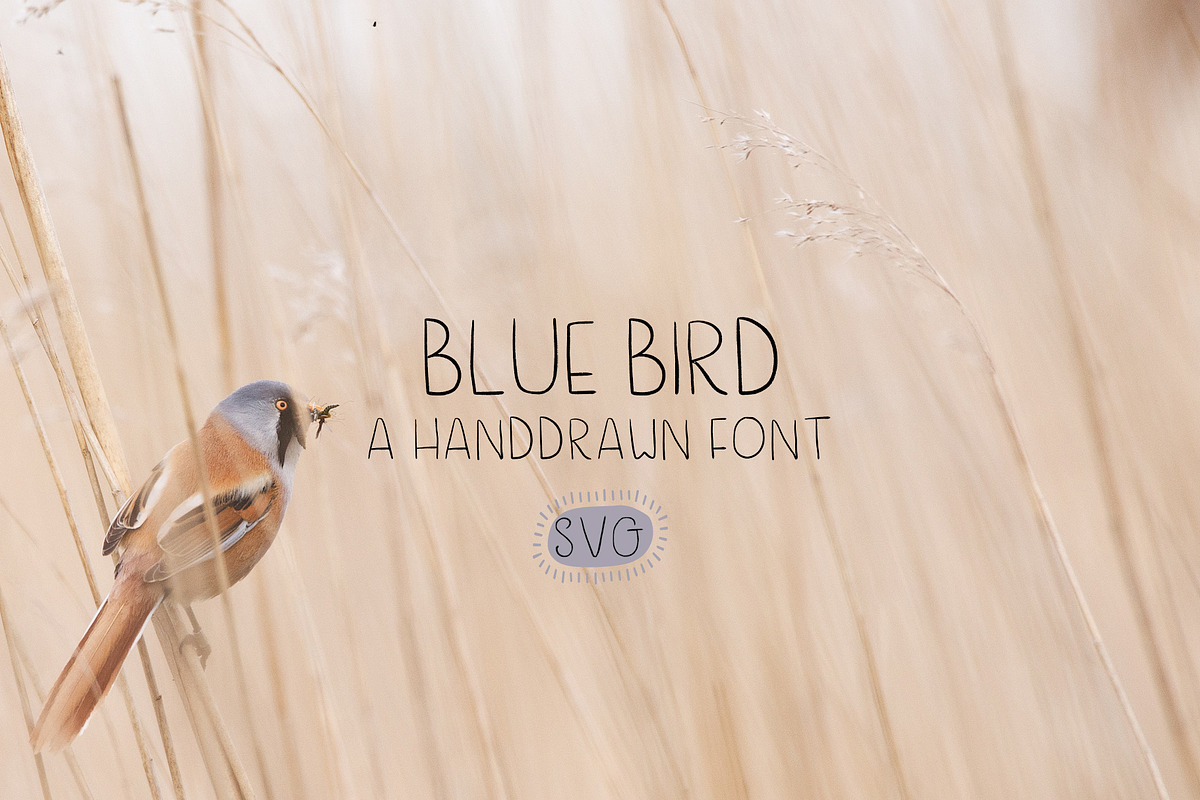 Blue Bird a Handwritten Font in Sans-Serif Fonts - product preview 8