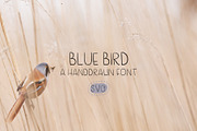 Blue Bird a Handwritten Font