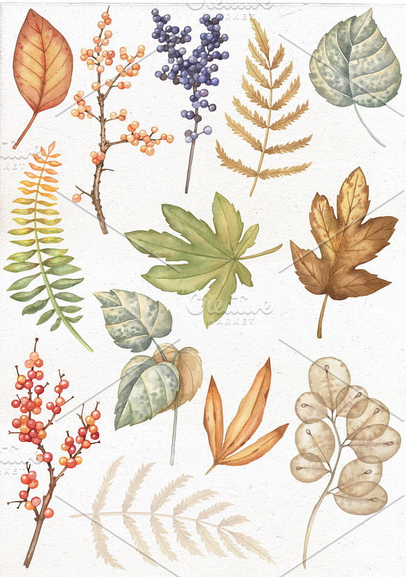 Watercolor Autumn clipart. in Illustrations - product preview 1