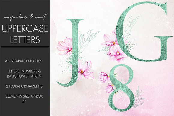 Mint Monogram letters with magnolias in Objects - product preview 1