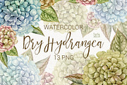 Watercolor hydrangeas clipart.