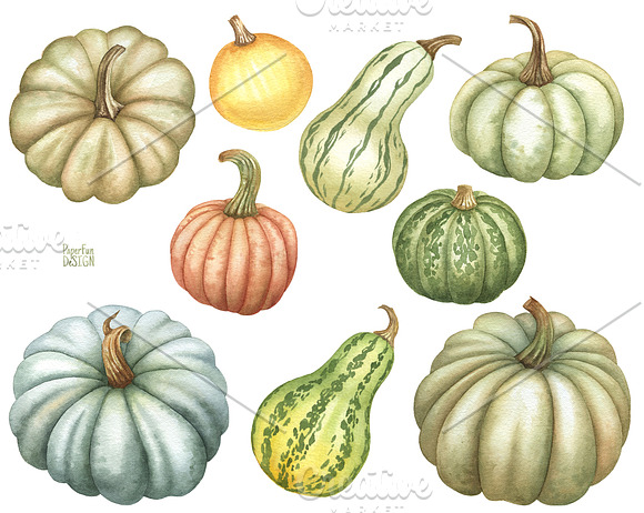 Watercolor Pumpkins clipart. in Illustrations - product preview 1