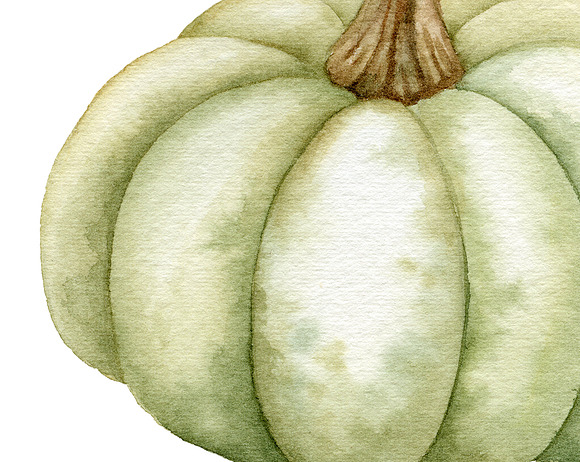 Watercolor Pumpkins clipart. in Illustrations - product preview 2
