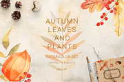 Watercolor autumn leaves and plants