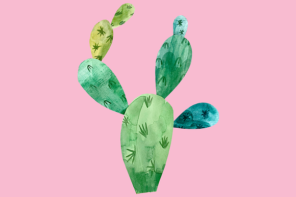 Watercolor cactus in Illustrations - product preview 1