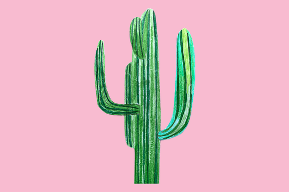 Watercolor cactus in Illustrations - product preview 3
