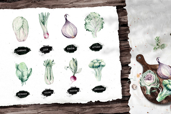 Watercolor fresh veggies collection! in Illustrations - product preview 3