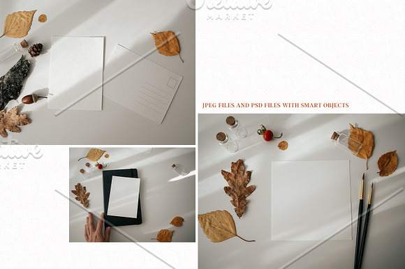 Autumn mockups | Cards | Fall leaves in Mockup Templates - product preview 1