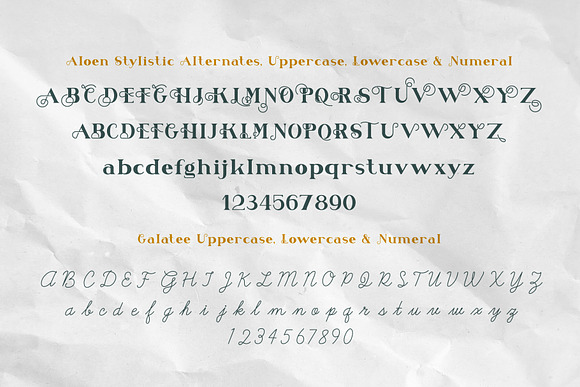 Aloen Font Duo + Extras in Serif Fonts - product preview 2
