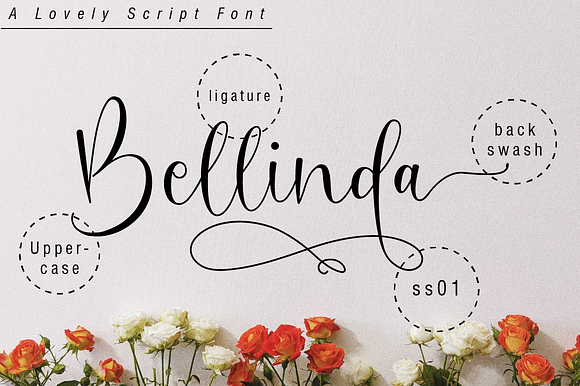 Oh Beloved Script in Script Fonts - product preview 9