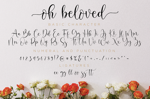 Oh Beloved Script in Script Fonts - product preview 10
