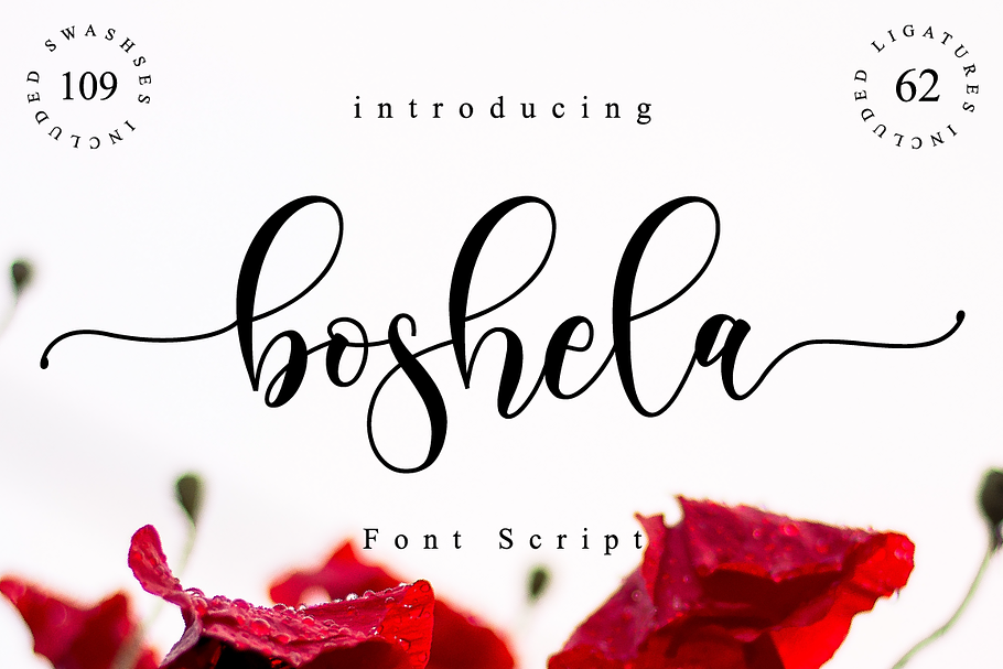 Boshela in Script Fonts - product preview 8