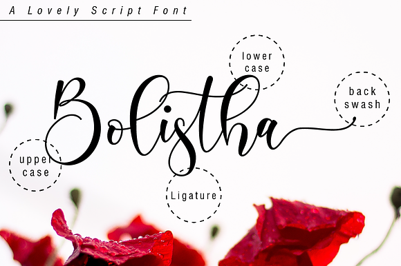 Boshela in Script Fonts - product preview 9