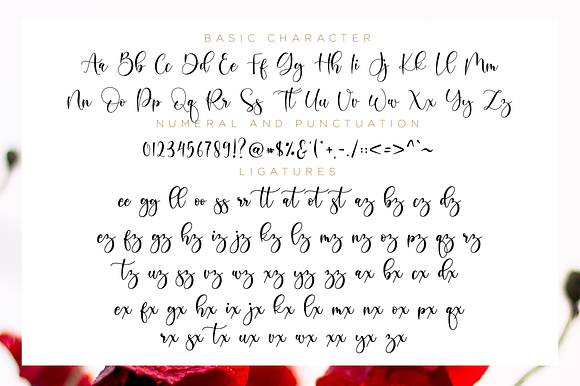 Boshela in Script Fonts - product preview 10
