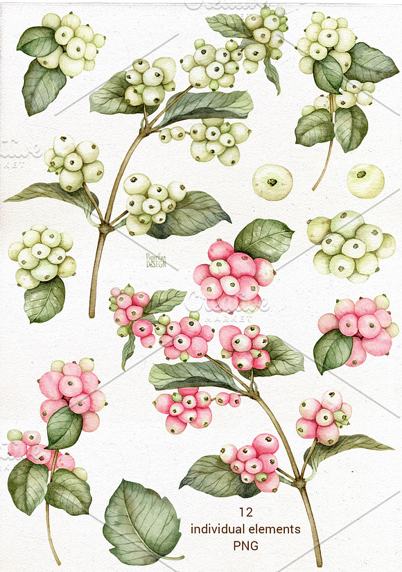 Watercolor snowberries clipart. in Illustrations - product preview 1