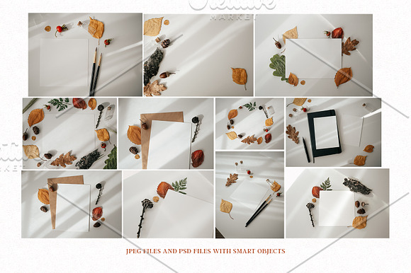 Autumn mockups | Cards | Fall leaves in Mockup Templates - product preview 3