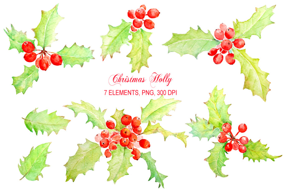 Watercolor Clip Art Holly Berry