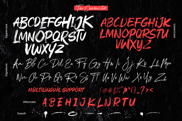 Rushink Font Duo | Brush & Signature in Blackletter Fonts - product preview 5