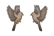 Sparrow birds tattoo color sketch