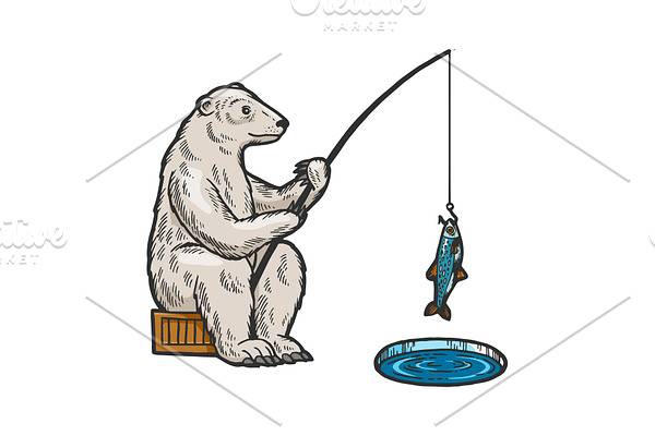 Polar Bear fishing color sketch