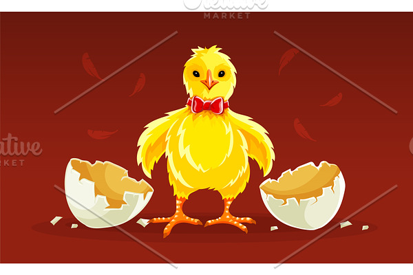 Newborn cartoon hen chicken rooster.