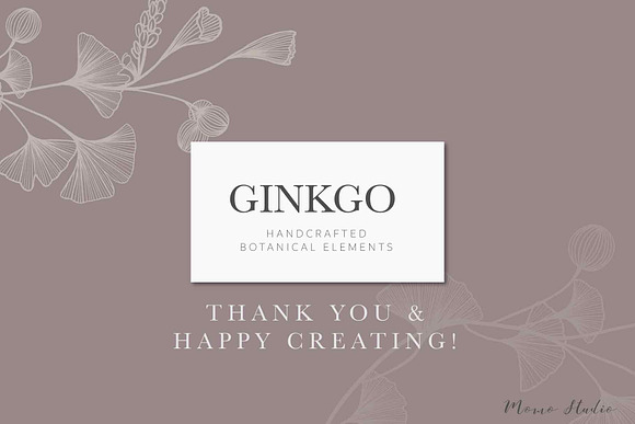 Ginkgo Botanicals - Florals & Leaves in Illustrations - product preview 12