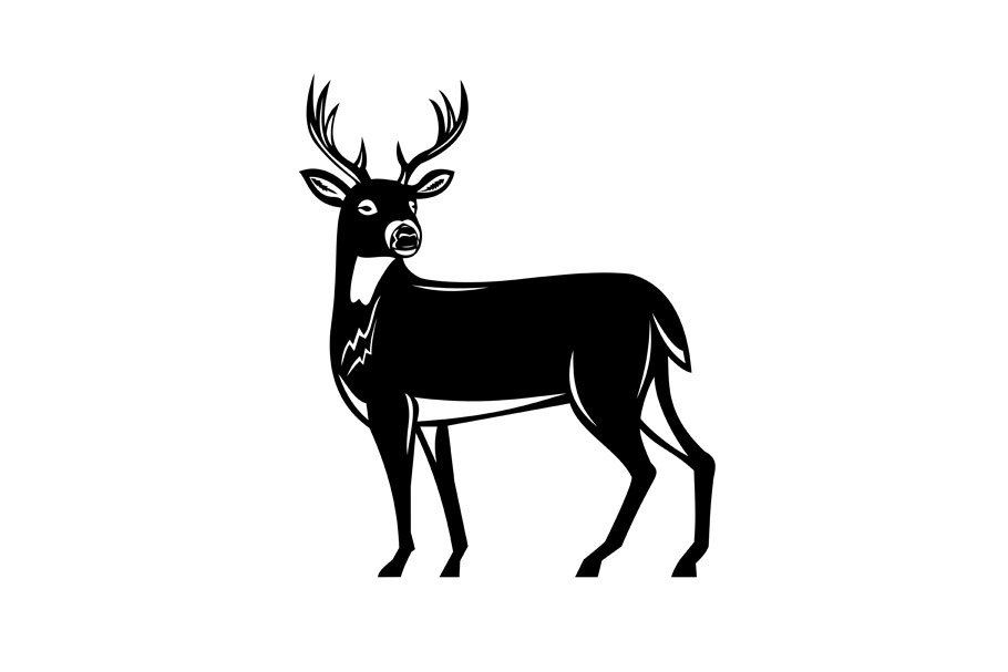Whitetail Deer Side View Woodcut