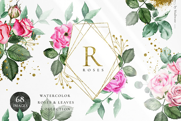 ROSETTE - watercolor roses leaf set in Illustrations - product preview 8