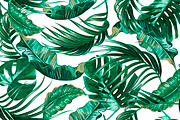 Tropical jungle leaves pattern