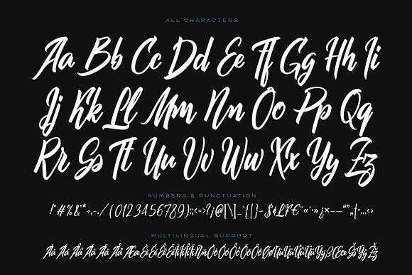 Squidink font & graphics in Script Fonts - product preview 4