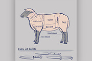 Vector Lamb Cuts Diagram