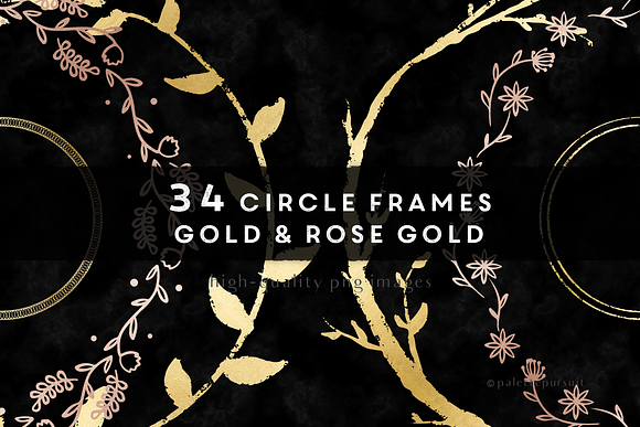 Gold Rose Gold Circle Frames Custom Designed Graphic Objects