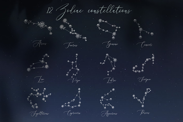 Floral zodiac constellations vector