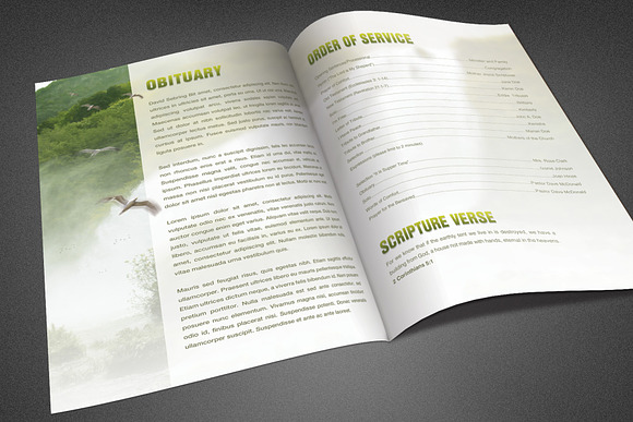 Fountain Breeze Funeral Program in Brochure Templates - product preview 1
