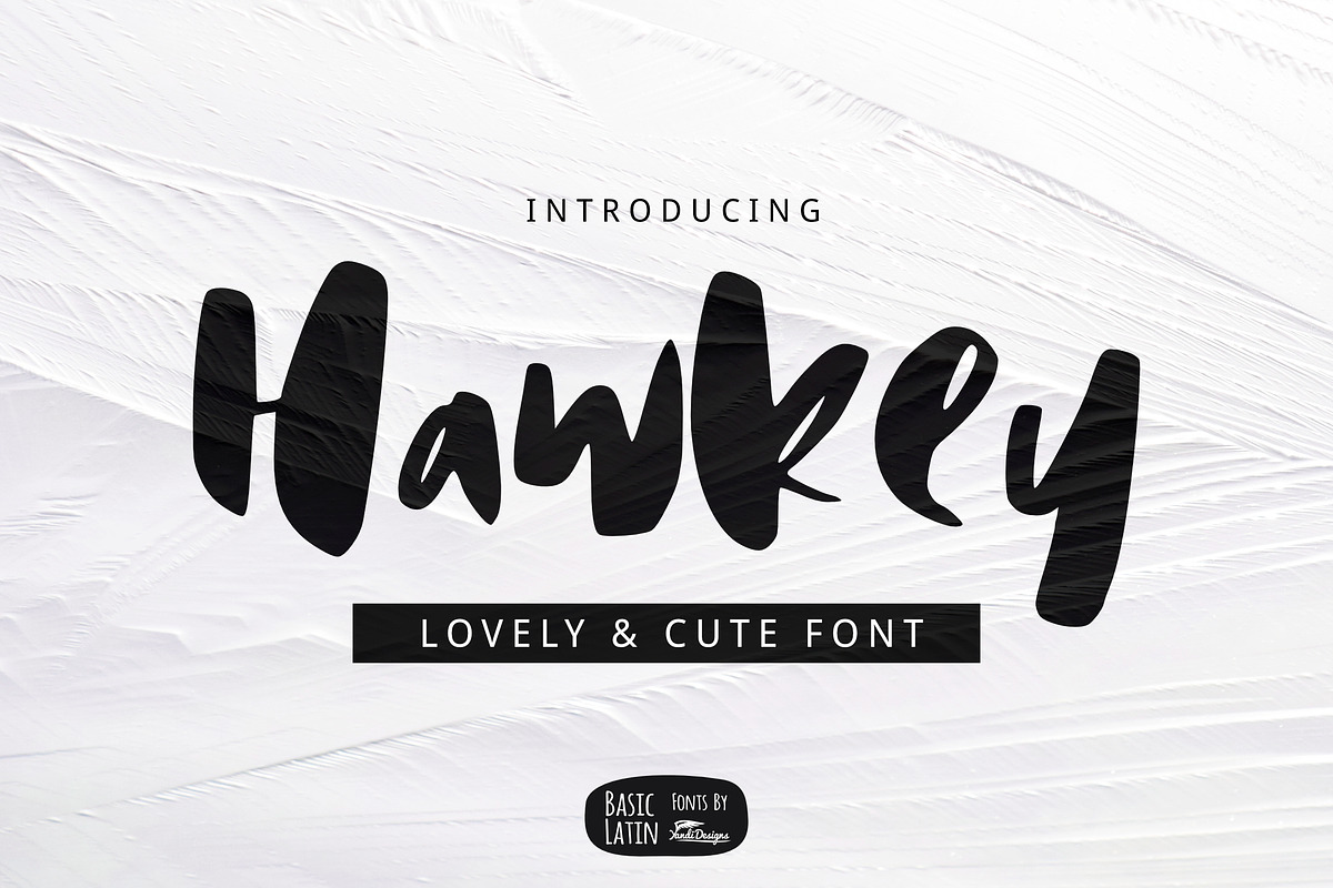 Hawkey Brush Font in Display Fonts - product preview 8