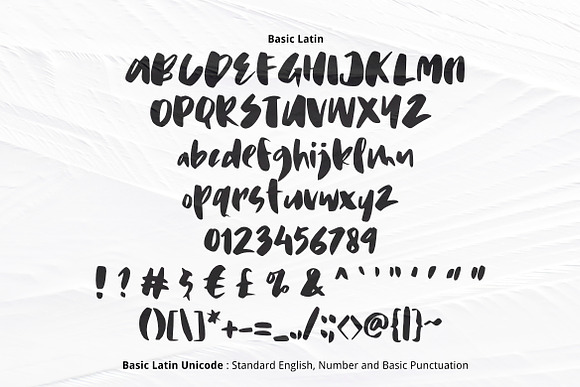 Hawkey Brush Font in Display Fonts - product preview 1