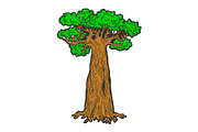 Baobab monkey bread tree sketch