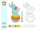 Circus elephant on the big ball