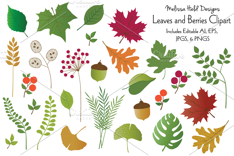 Leaves & Berries Clipart in Illustrations - product preview 8